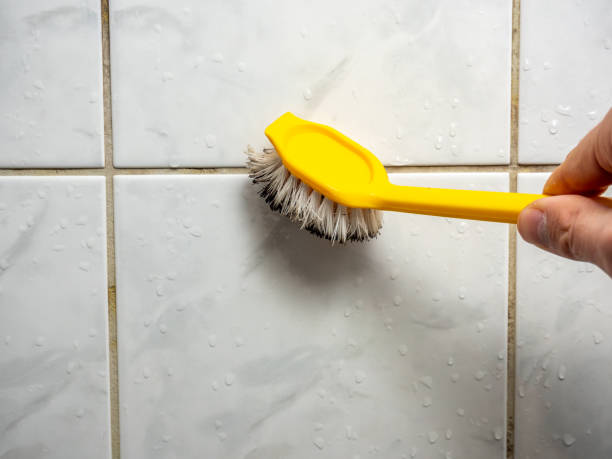 Best Fast Mold Removal  in Baldwin, MI