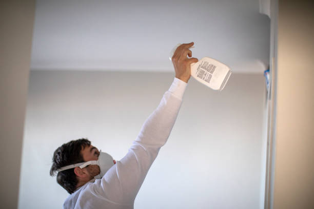 Best Crawl Space Mold Removal  in Baldwin, MI