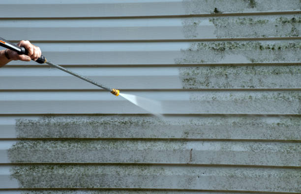 Best Mold Damage Repair  in Baldwin, MI