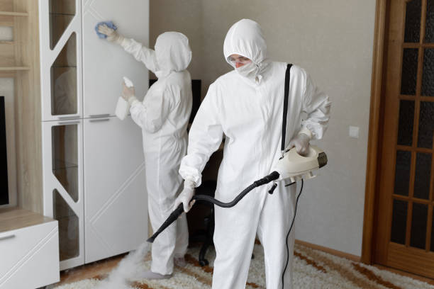 Best Local Mold Removal Service  in Baldwin, MI