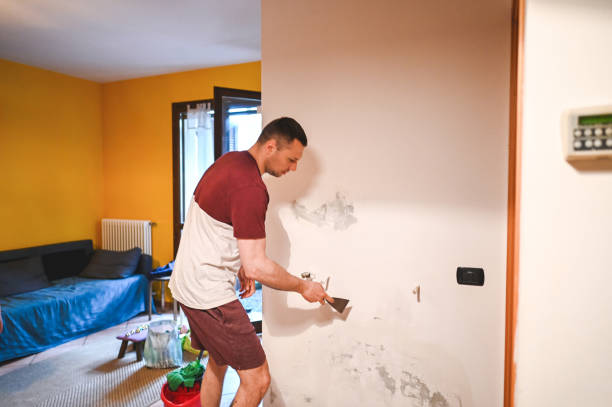 Office Mold Removal Services in Baldwin, MI