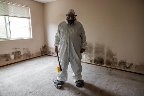 Best Office Mold Removal Services  in Baldwin, MI
